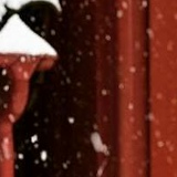 Елизавета Гончарова, 13.01.1984, Цесис