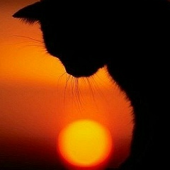 Ольга Алексеева, 11.07