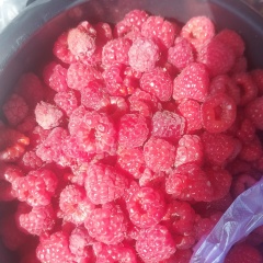 Надира Парпиева, 13.01, Санкт-Петербург