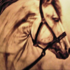 Дархан Акимкулов, 29.08, Алматы