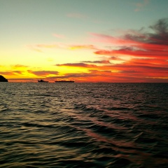 Дмитрий Филиппов, 22.06.1988, Тюмень