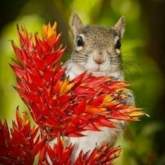 Алена Александрова, 22.09.1983, Алматы