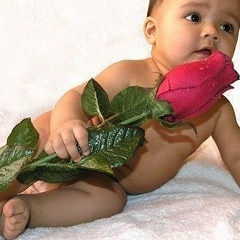 Fozil Gaybullaev, 08.02.1983, Санкт-Петербург