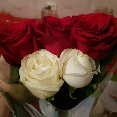 Камшат Ибишева, 23.10.1984, Петропавловск