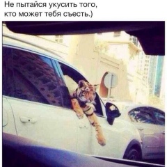 Islam Kataev, 26.05.1996, Гудермес