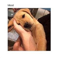 Medina Tuigunova, 31.08.2003