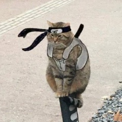 Николай Лисков, 02.11, Курск