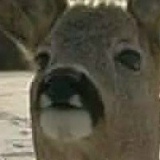 Tchetche Mcbride, 08.01.1990, Rio de Janeiro