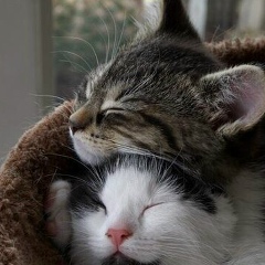 Гулима Дюзельбаева, 25.09, Атырау