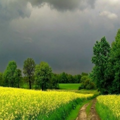 Гера Нигматуллина, 10.10, Астана