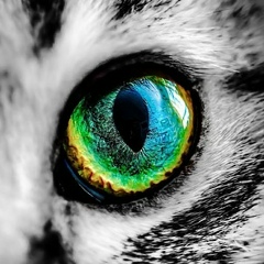 Вероника Кракова, 12.01.1990, Москва