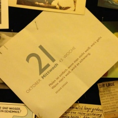 Екатерина Павлова