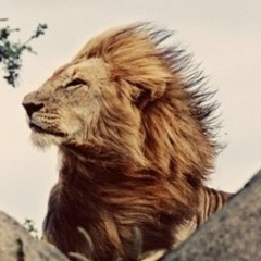 Михаил Мищенко, 18.10, Комсомольск-на-Амуре