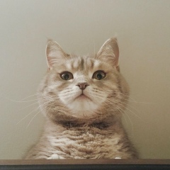 Дмитрий Губка, 10.12.1989