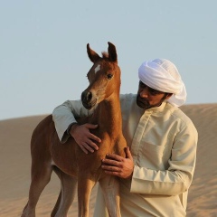 Aslan Allahberdi, Barcelona