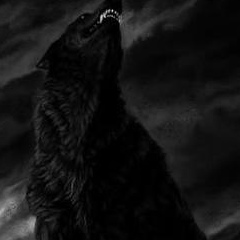 Адам Айтукаев, 28.12.1985