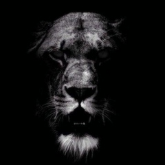 Максим Пулемётов, 26.05, Курган