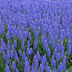 Марианна Елисеева, 03.06, Москва