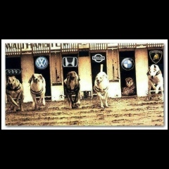 Алмас Адамбаев, 27.11.1999