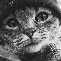 Павел Бражников, 26.07.1991, Карталы