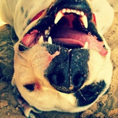 Mike Tyson, 16.07.1992, Махачкала