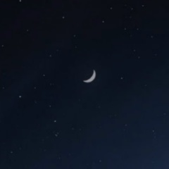 Радомир Кузнецов, 07.10