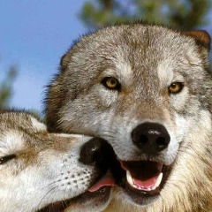 Роза Грихина, 28.09.1988, Тбилиси