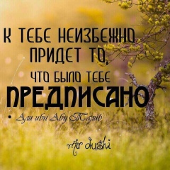 Linda Telipova, 25.08.1992, Москва