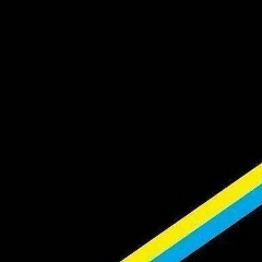 Дмитрий Пуляткин, 10.02, Киев