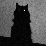 Андрей Гребенников, Москва