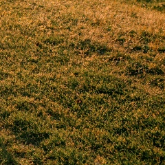 Весна Настроение, 01.05