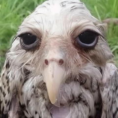 Анастасия Круглова, 19.05, Санкт-Петербург