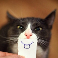 Ольга Новикова