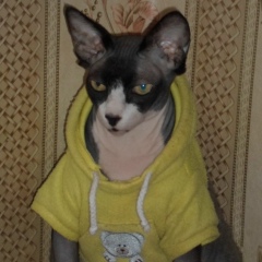 Александра Николаева, 03.10.1998, Москва