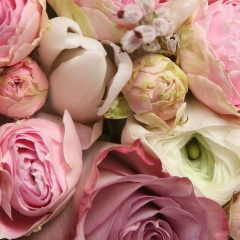 Gaziza Baidaulet, 29.04, Алматы