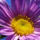 Nargilya Khassanova, 05.09, Шымкент