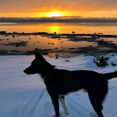 Алексей Ищенко, 26.07, Кировск