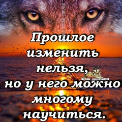 Анна Анна, 07.08