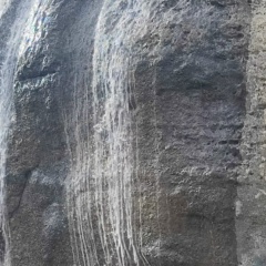 Алан Петрович, Москва