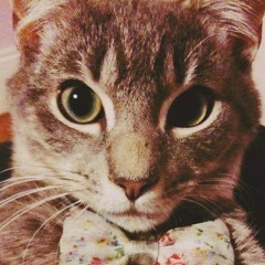 Игорь Скрынжевский, Москва