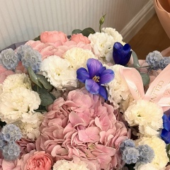 Aigerim Yertisova, 26.03.1987, Алматы