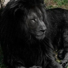 Аленка Потатуева, Санкт-Петербург