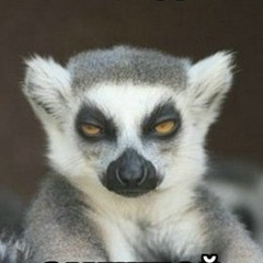 Александр Кириллов, 11.05.1920, Москва