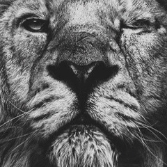 Карина Мицяк, Москва