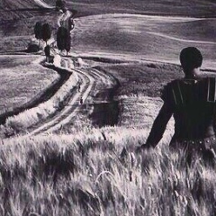 Аникей Евгеньев, Санкт-Петербург