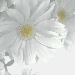 Удалилась Местная, Ульяновск