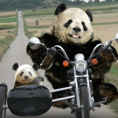 Алексей Сметанин, 27.09, Санкт-Петербург