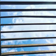 Паша Гордиевич