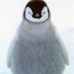 Максим Шинкаренко, 03.08, Житомир