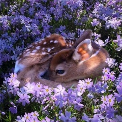 Ольчик Старикова, 20.07, Москва
